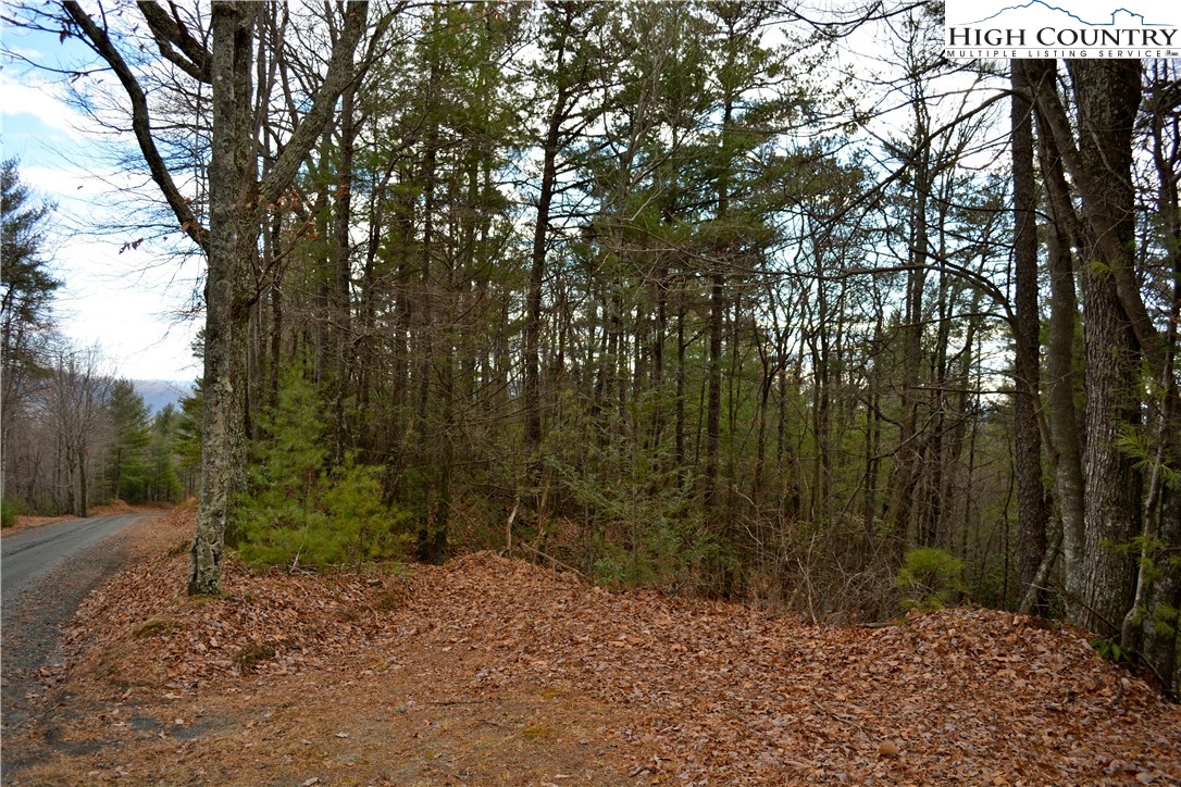 Lot 6 Green Ridge Road Deep Gap, NC 28618 - Photo 24 of 40 Gallery Image 24