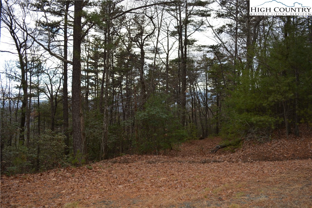 Lot 6 Green Ridge Road Deep Gap, NC 28618 - Photo 26 of 40 Gallery Image 26