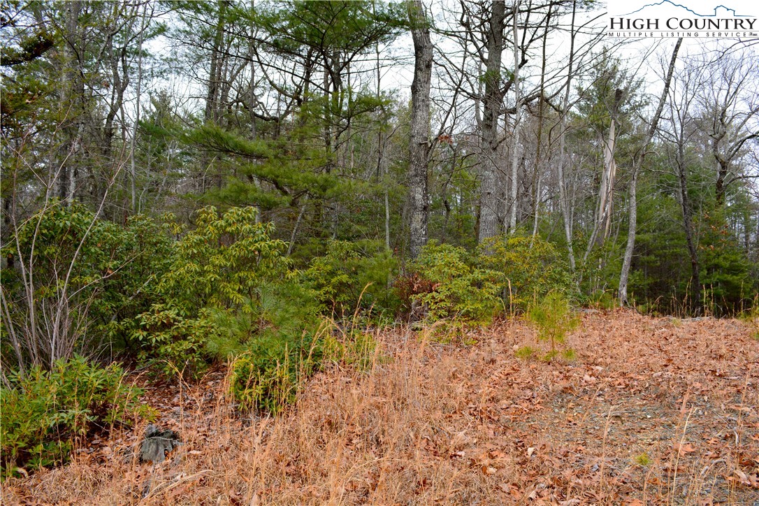 Lot 6 Green Ridge Road Deep Gap, NC 28618 - Photo 3 of 40 Gallery Image 3