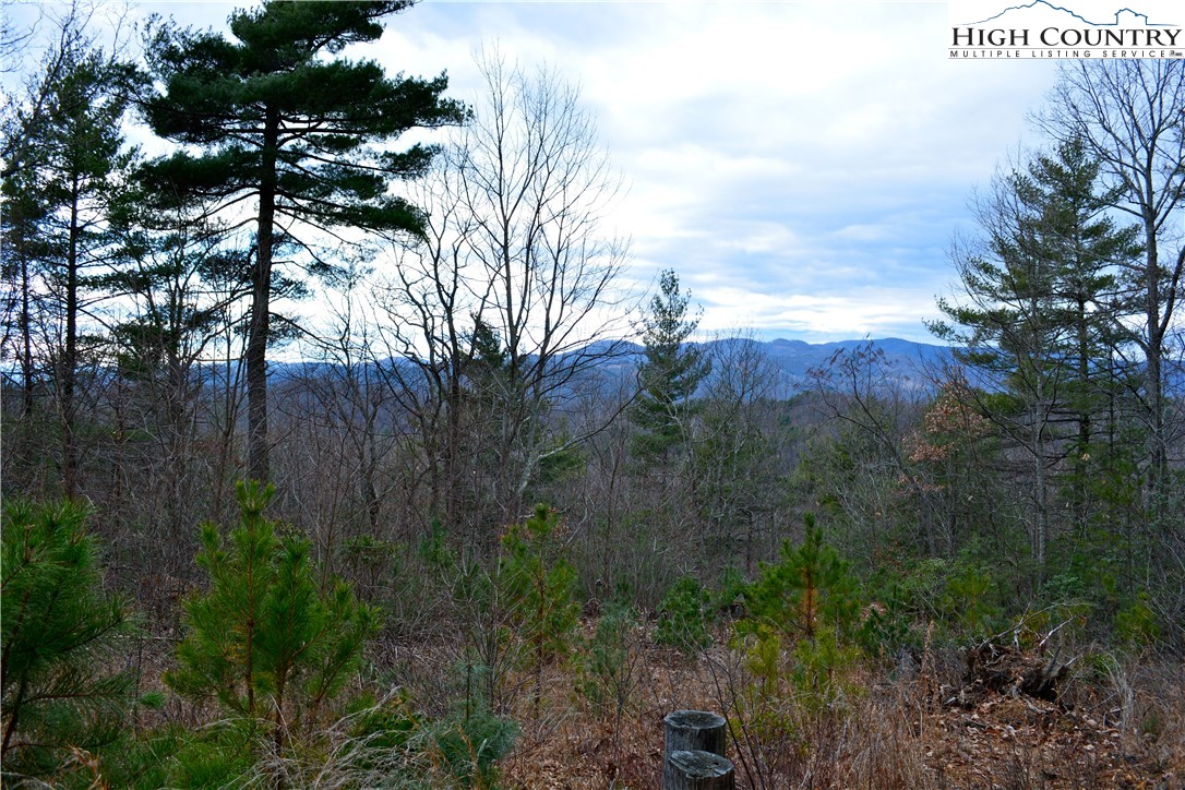 Lot 6 Green Ridge Road Deep Gap, NC 28618 - Photo 4 of 40 Gallery Image 4