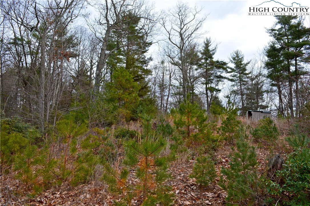 Lot 6 Green Ridge Road Deep Gap, NC 28618 - Photo 6 of 40 Gallery Image 6