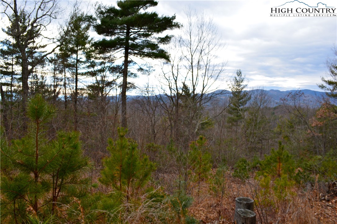 Lot 6 Green Ridge Road Deep Gap, NC 28618 - Photo 8 of 40 Gallery Image 8