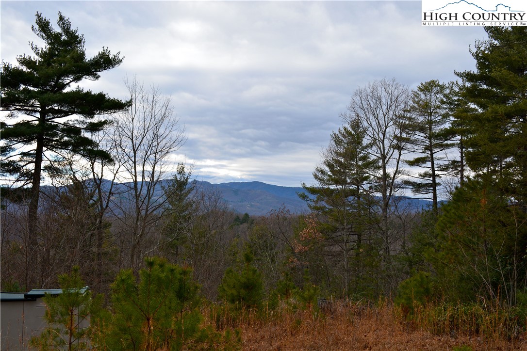 Lot 6 Green Ridge Road Deep Gap, NC 28618 - Photo 10 of 40 Gallery Image 10