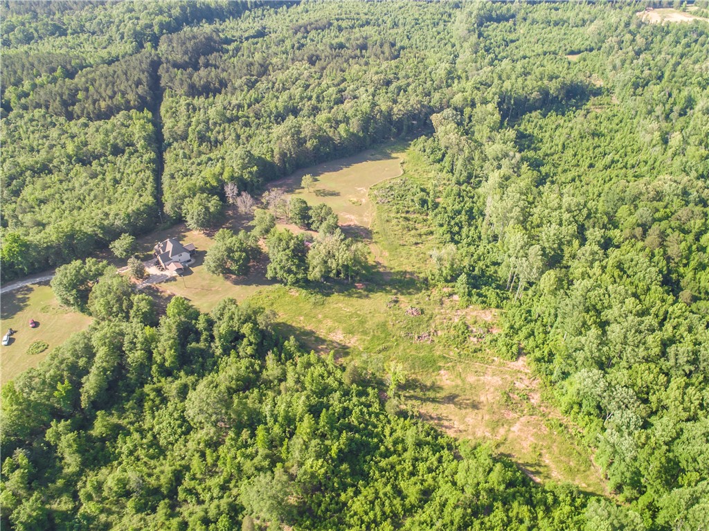 90 Switchett's Road Belton, SC 29627 - Photo 42 of 44