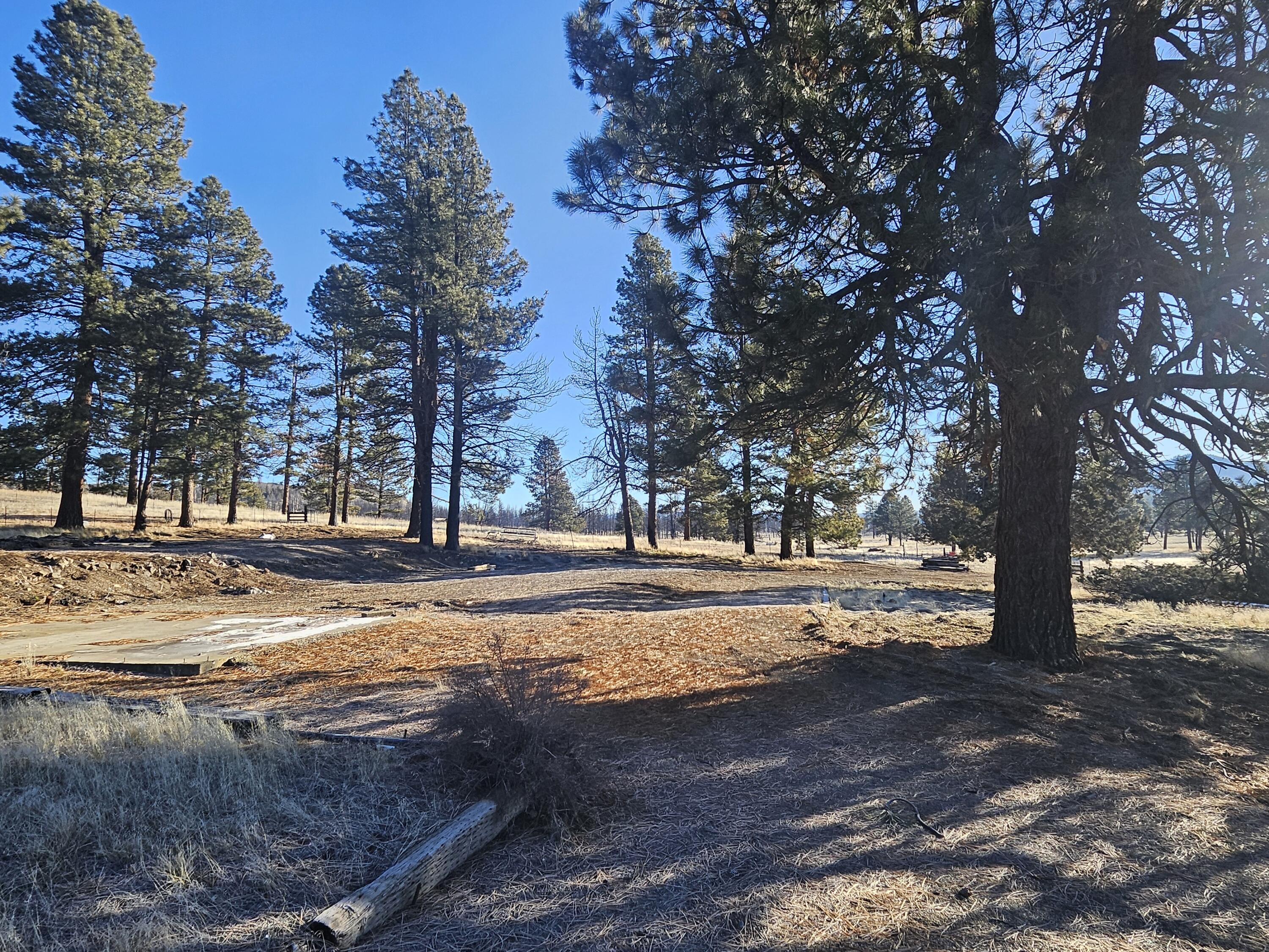 31747 Godowa Springs Road Beatty, OR 97621 - Photo 19 of 23 20260117_094448