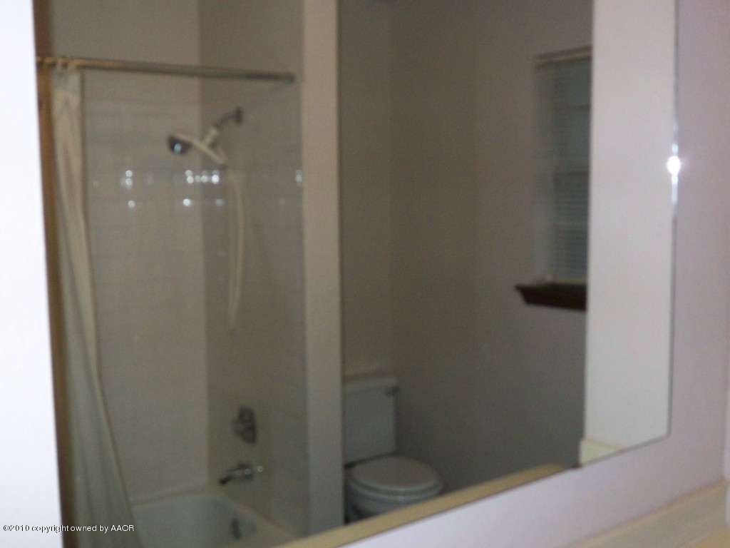 5203 South Fannin Street Amarillo, TX 79110 - Photo 13 of 18 Hall Bath