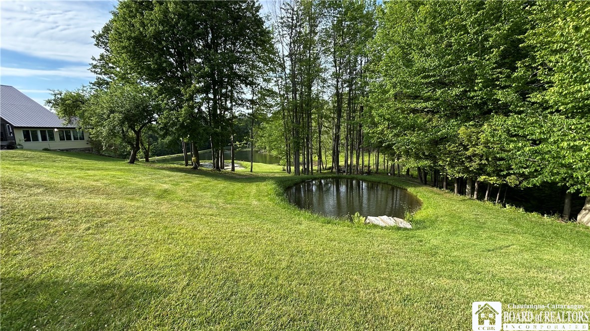 1994 Shaw Road Arkwright, NY 14062 - Photo 13 of 50
