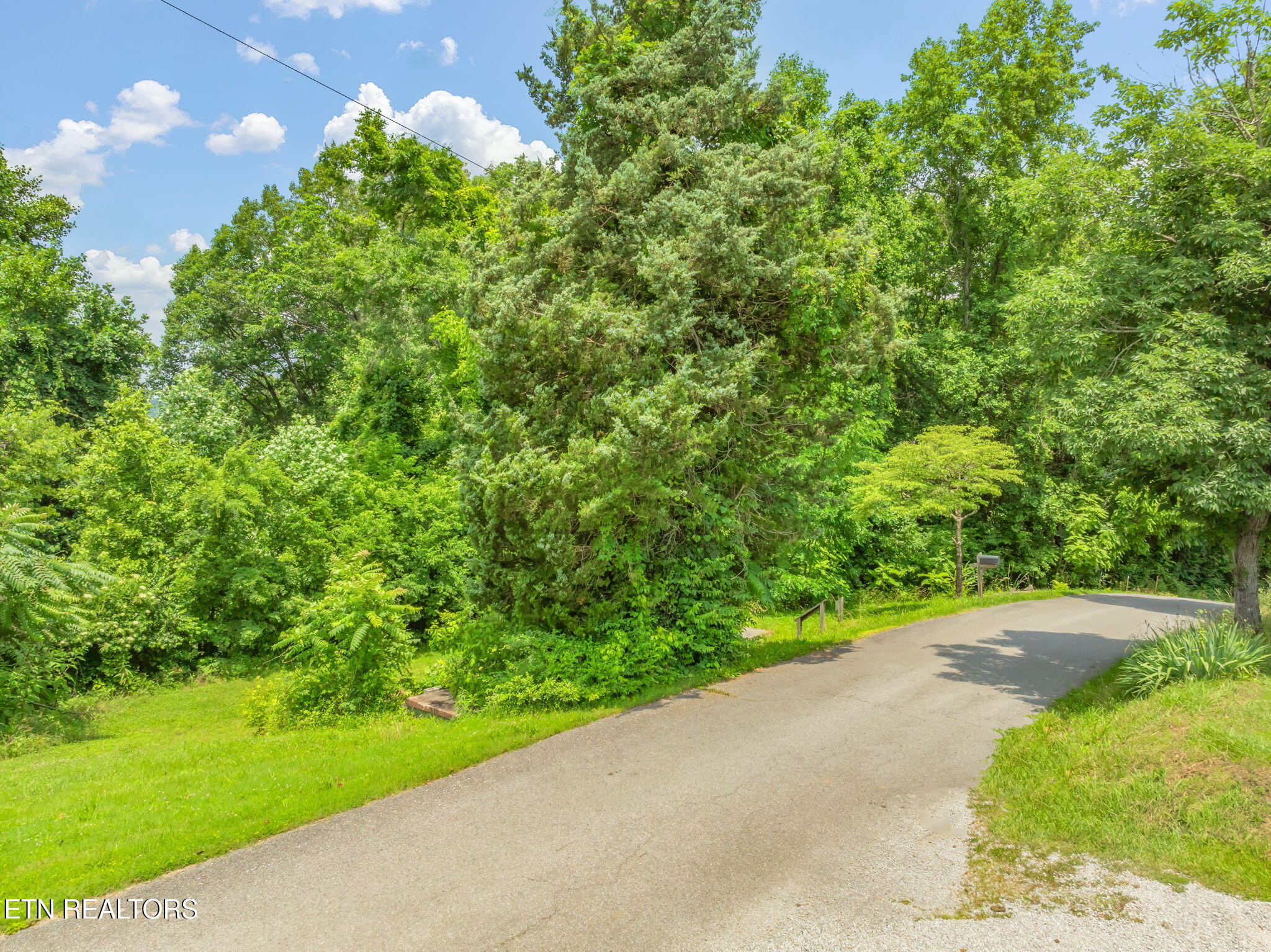 261 Harding Road Harriman, TN 37748 - Photo 22 of 28 Road