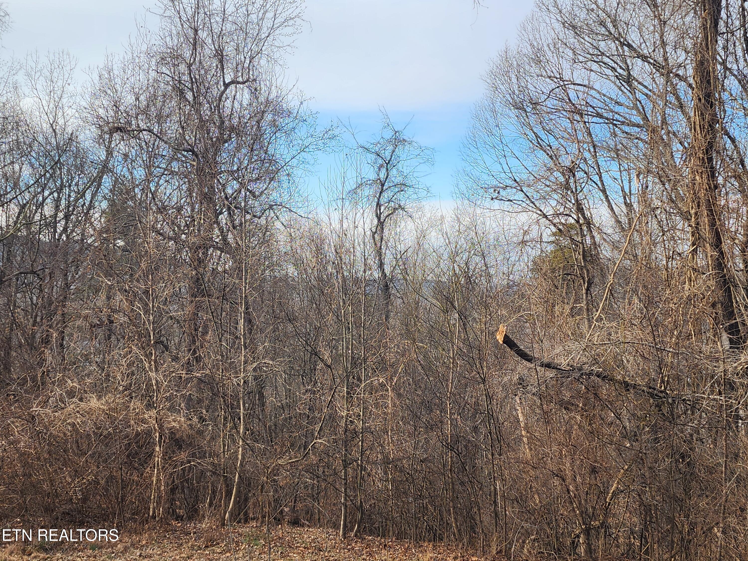 261 Harding Road Harriman, TN 37748 - Photo 25 of 28 20260128_154521