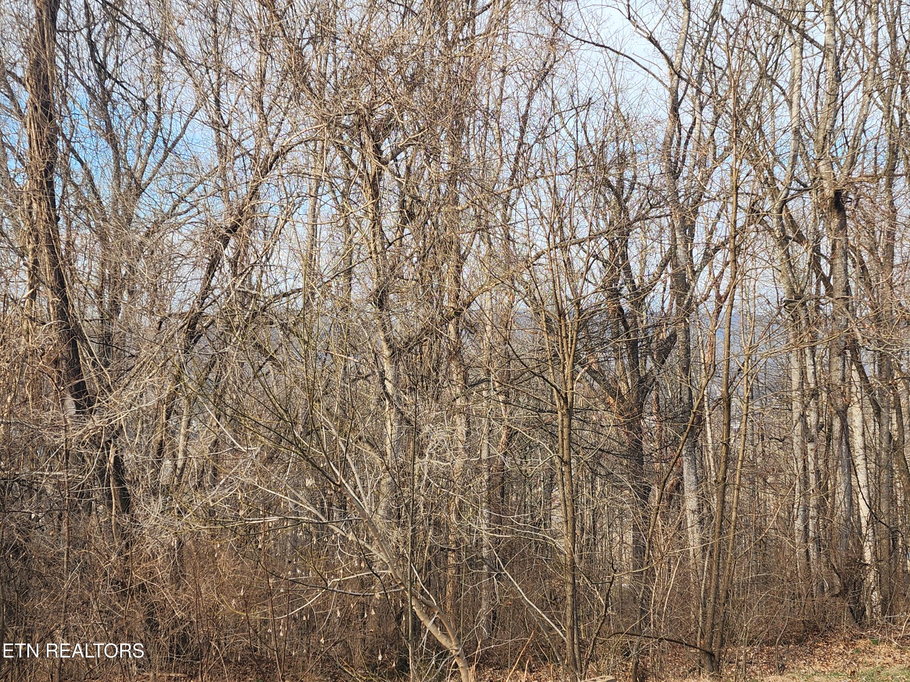 261 Harding Road Harriman, TN 37748 - Photo 26 of 28 20260128_154524