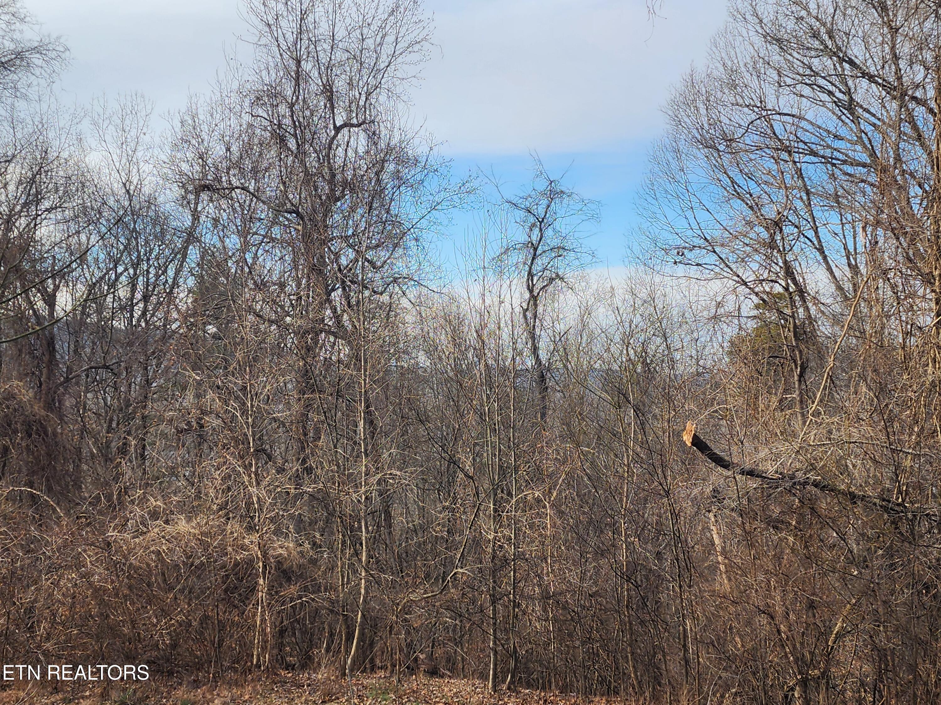 261 Harding Road Harriman, TN 37748 - Photo 27 of 28 20260128_154526