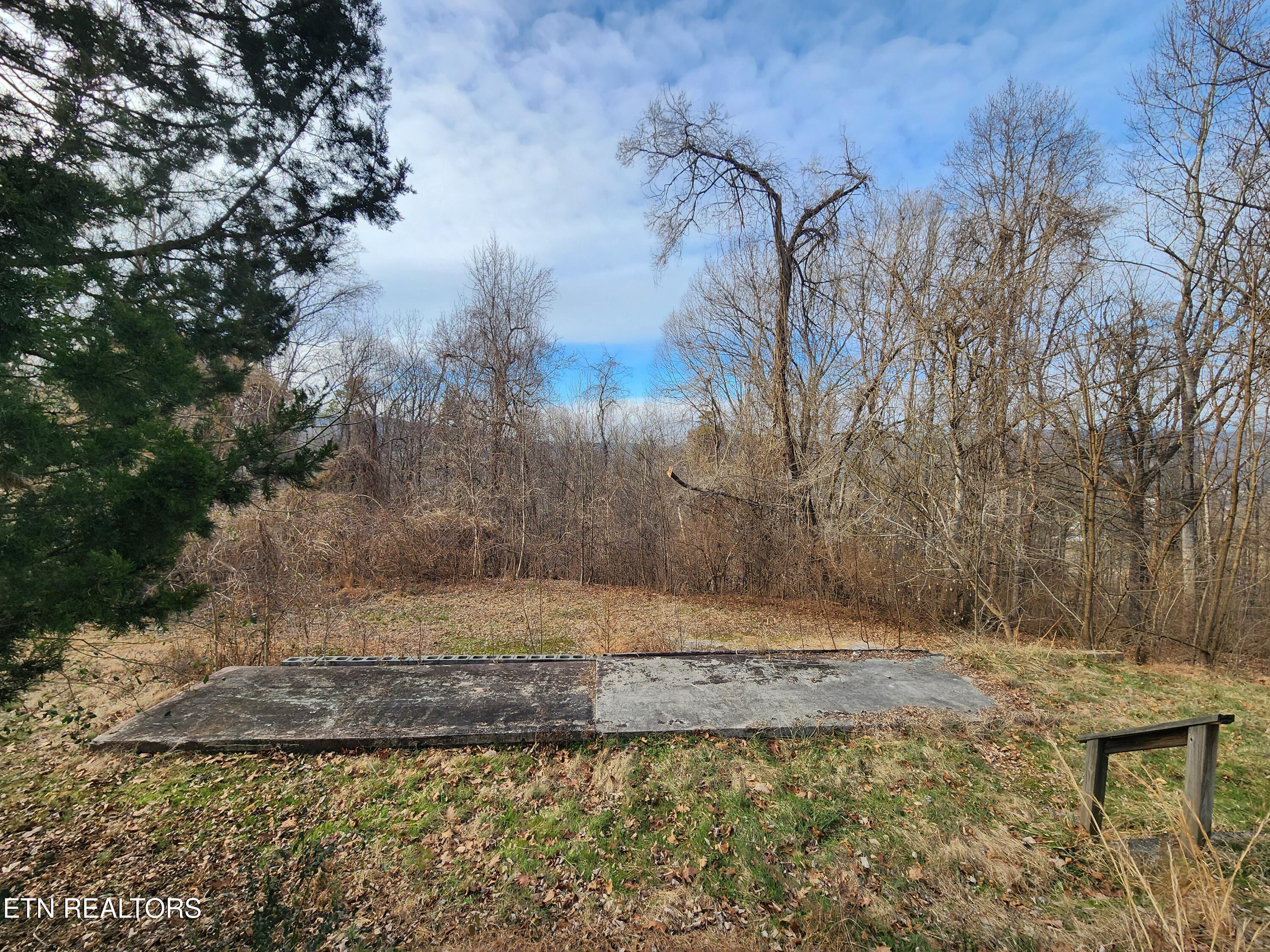 261 Harding Road Harriman, TN 37748 - Photo 28 of 28 20260128_154530