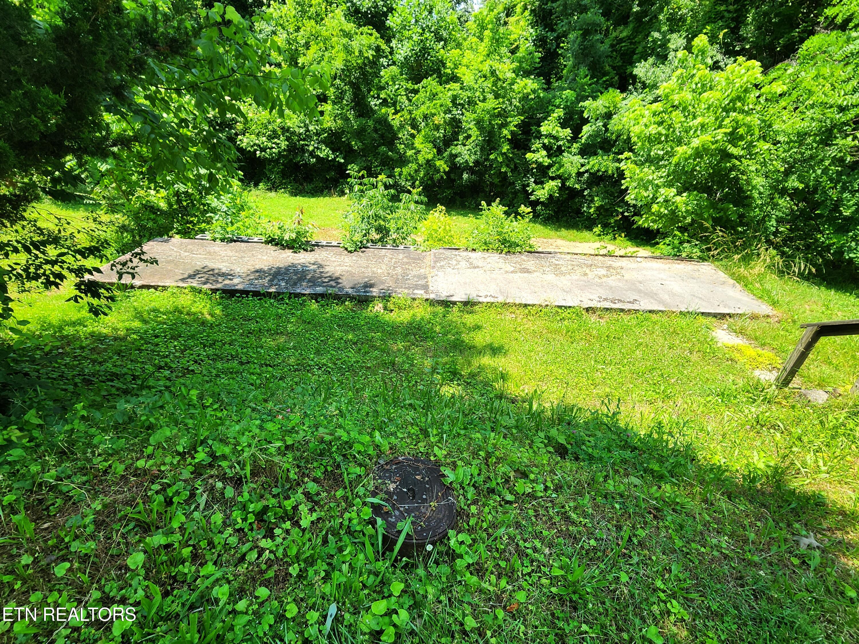 261 Harding Road Harriman, TN 37748 - Photo 4 of 28 20250602_142910