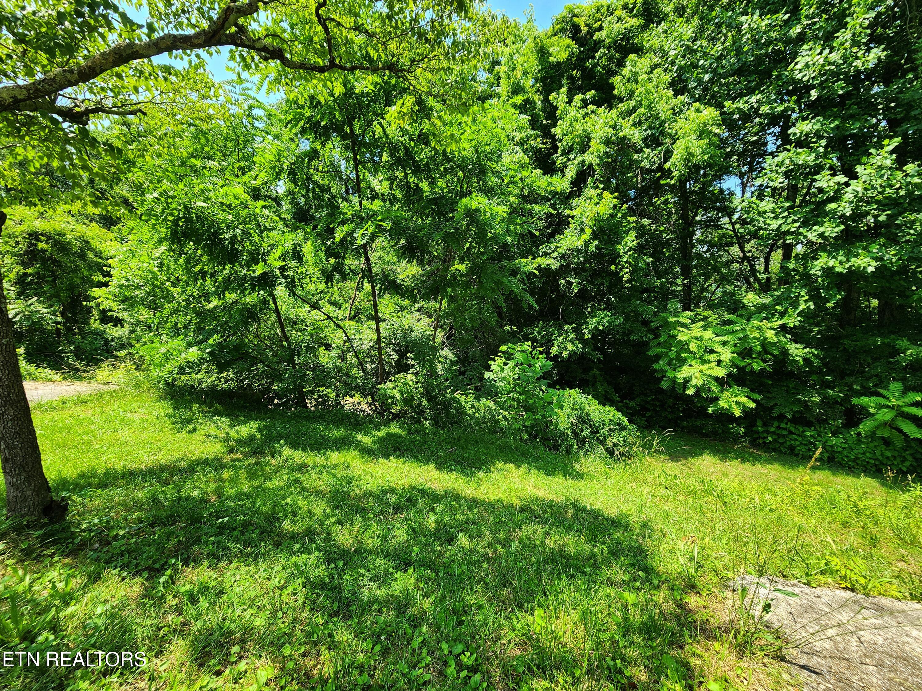 261 Harding Road Harriman, TN 37748 - Photo 7 of 28 20250602_142944