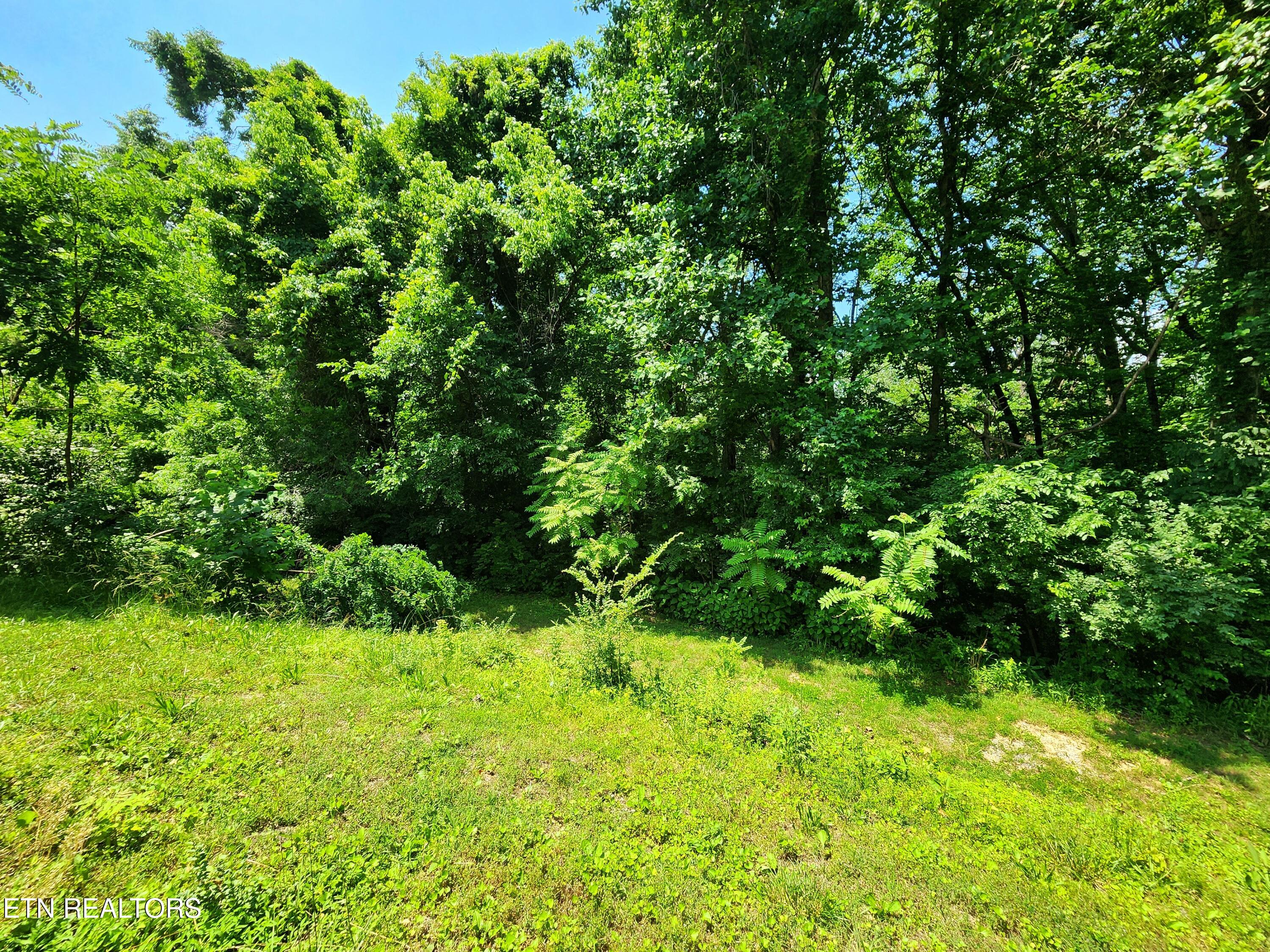 261 Harding Road Harriman, TN 37748 - Photo 8 of 28 20250602_142955