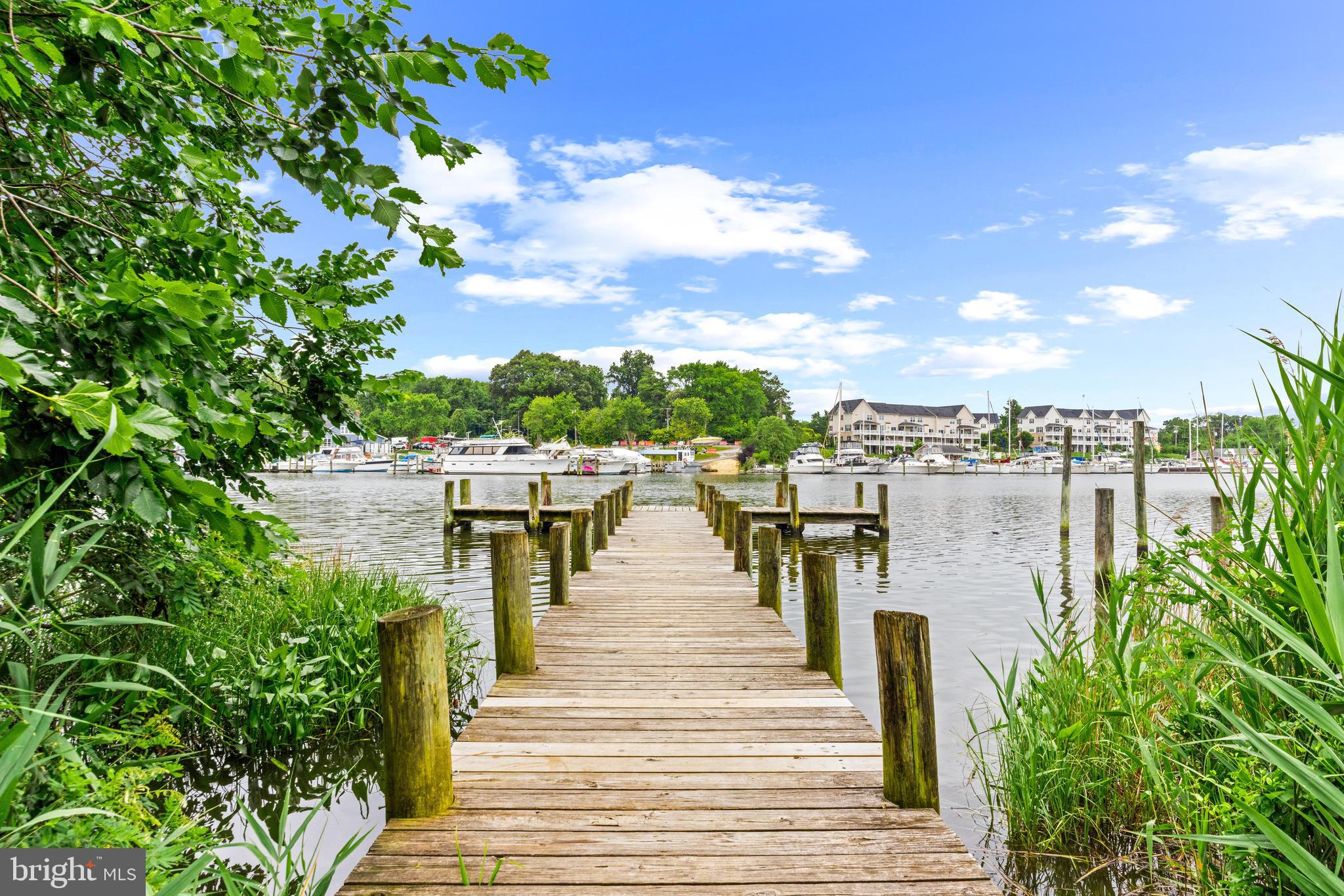 2134 Firethorn Road Middle River, MD 21220 - Photo 41 of 41 a view of a lake with a outdoor space