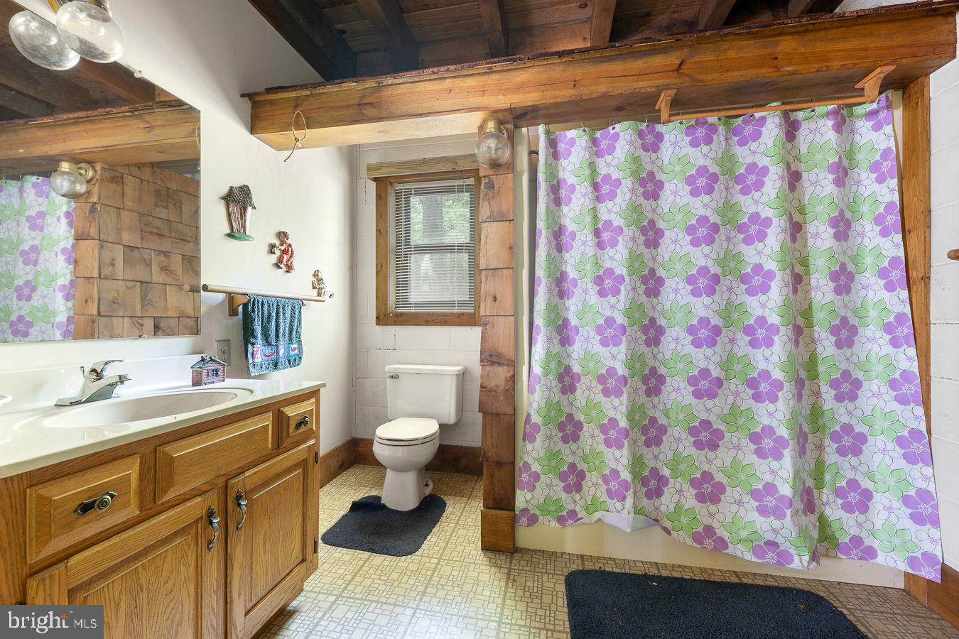 1499 Buggy Ridge Road Mount Jackson, VA 22842 - Photo 16 of 39 First floor Full bath