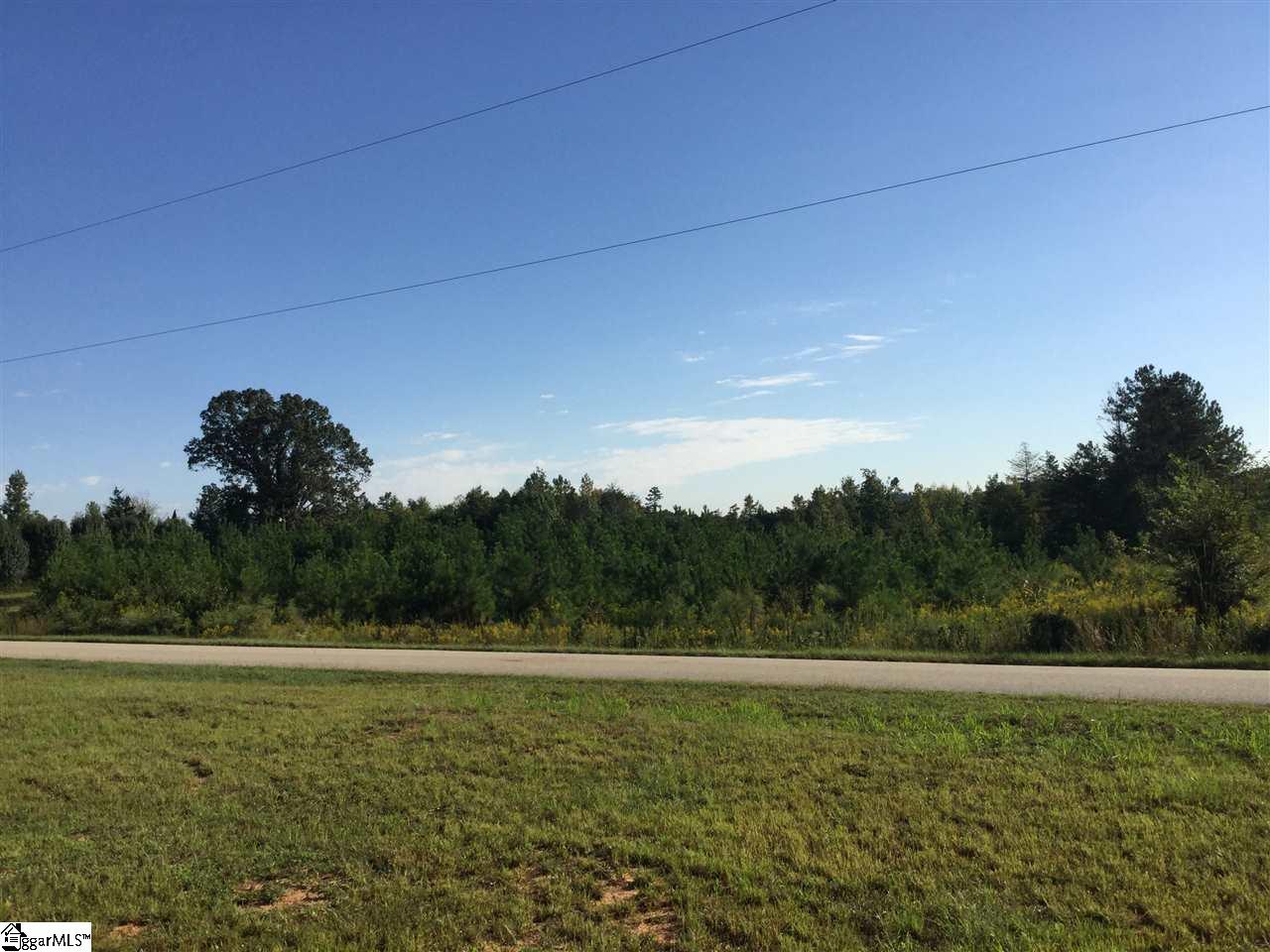 654 Bill Pearson Road Woodruff, SC 29388 - Photo 1 of 3