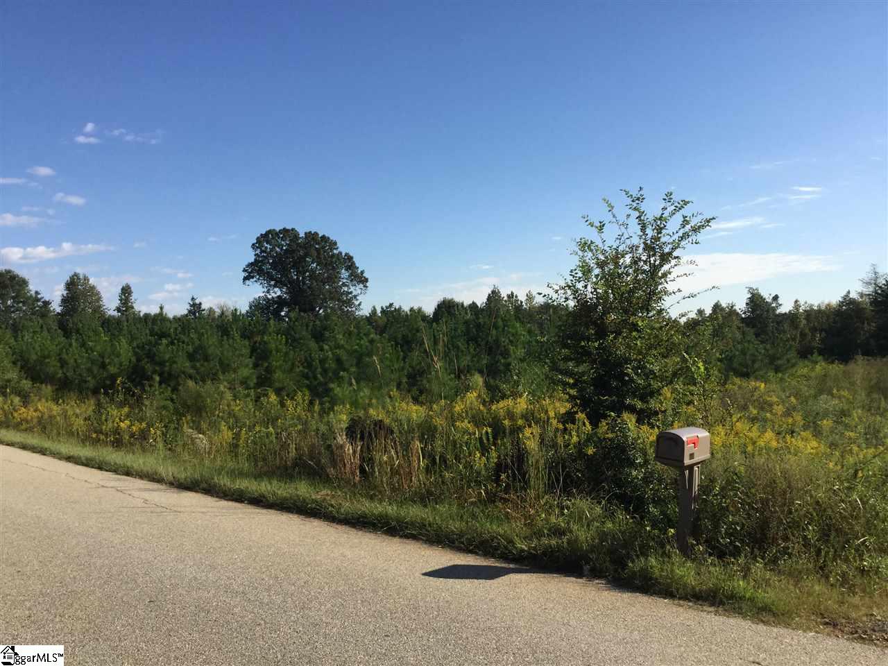 654 Bill Pearson Road Woodruff, SC 29388 - Photo 2 of 3