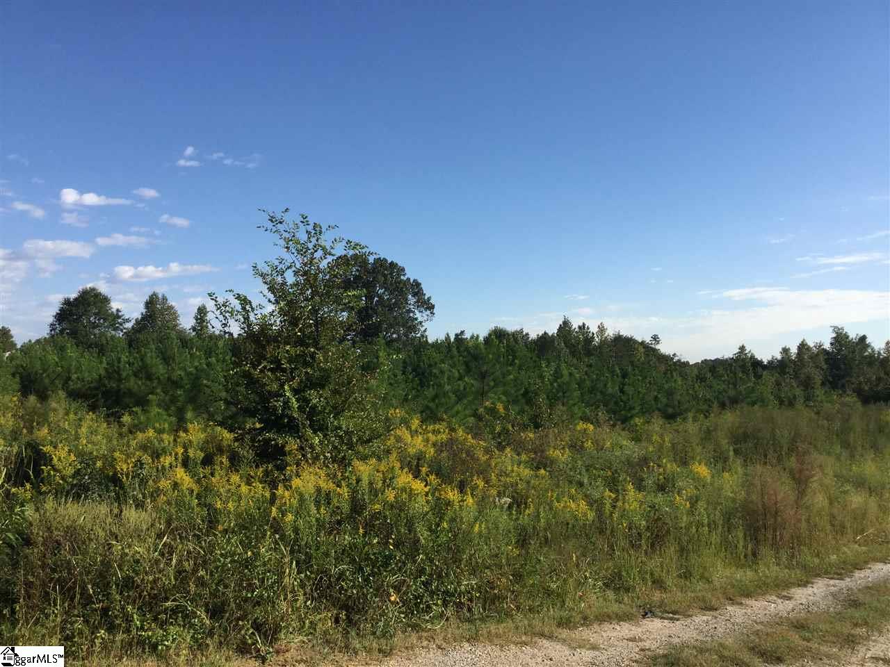 654 Bill Pearson Road Woodruff, SC 29388 - Photo 3 of 3