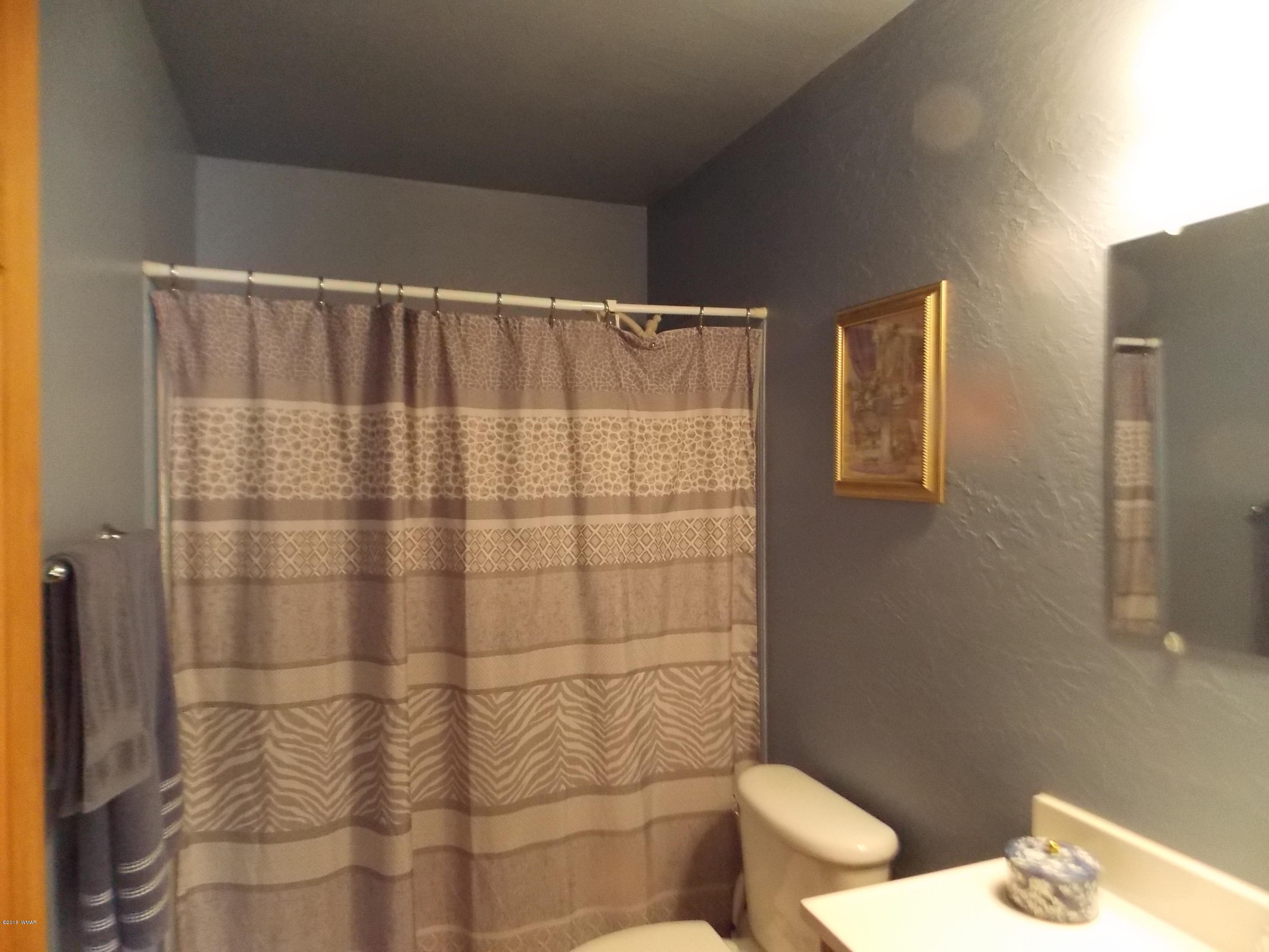 2073 Sagebrush Trail Overgaard, AZ 85933 - Photo 12 of 25