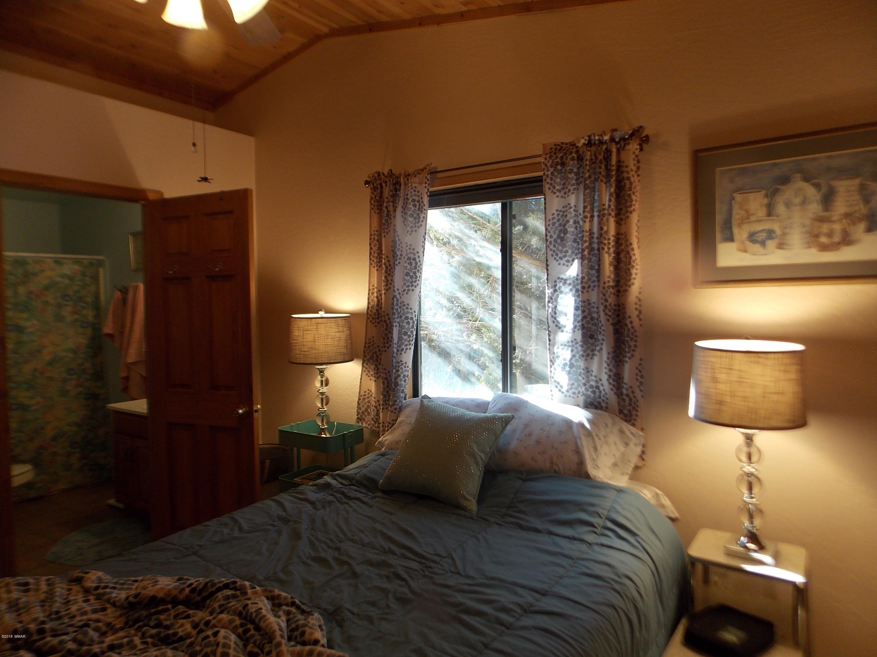 2073 Sagebrush Trail Overgaard, AZ 85933 - Photo 14 of 25