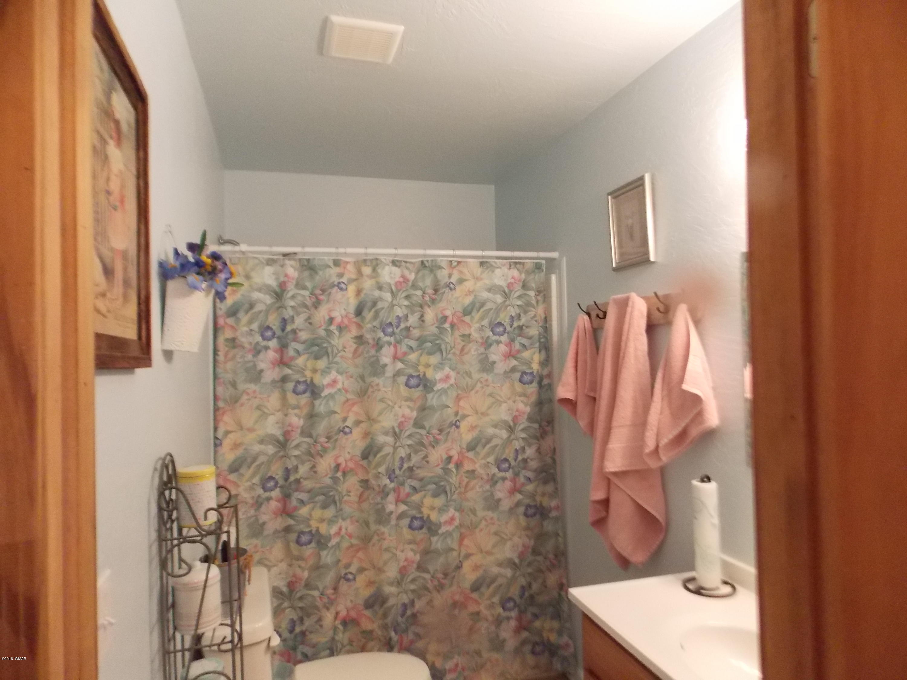 2073 Sagebrush Trail Overgaard, AZ 85933 - Photo 16 of 25