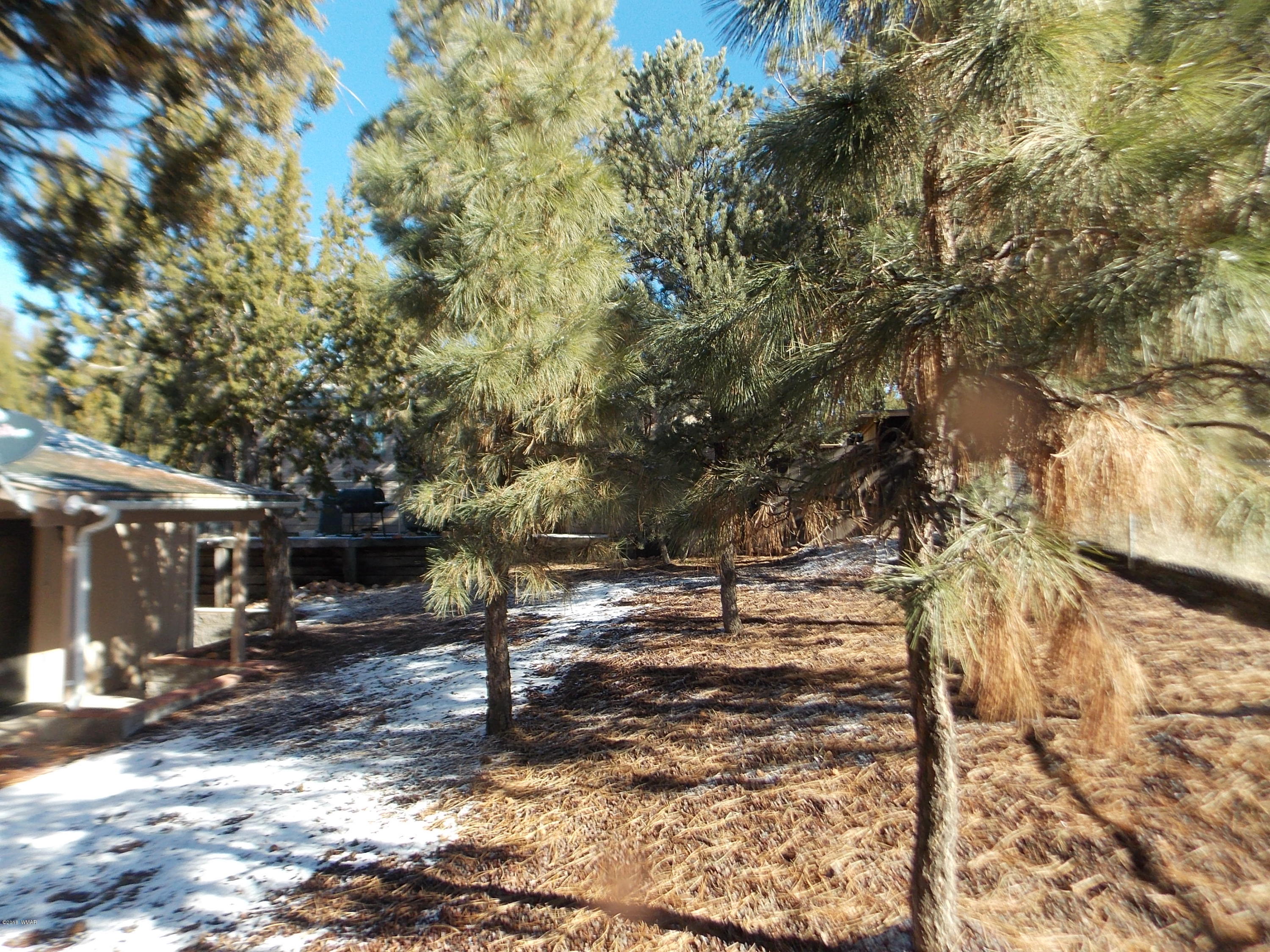 2073 Sagebrush Trail Overgaard, AZ 85933 - Photo 22 of 25