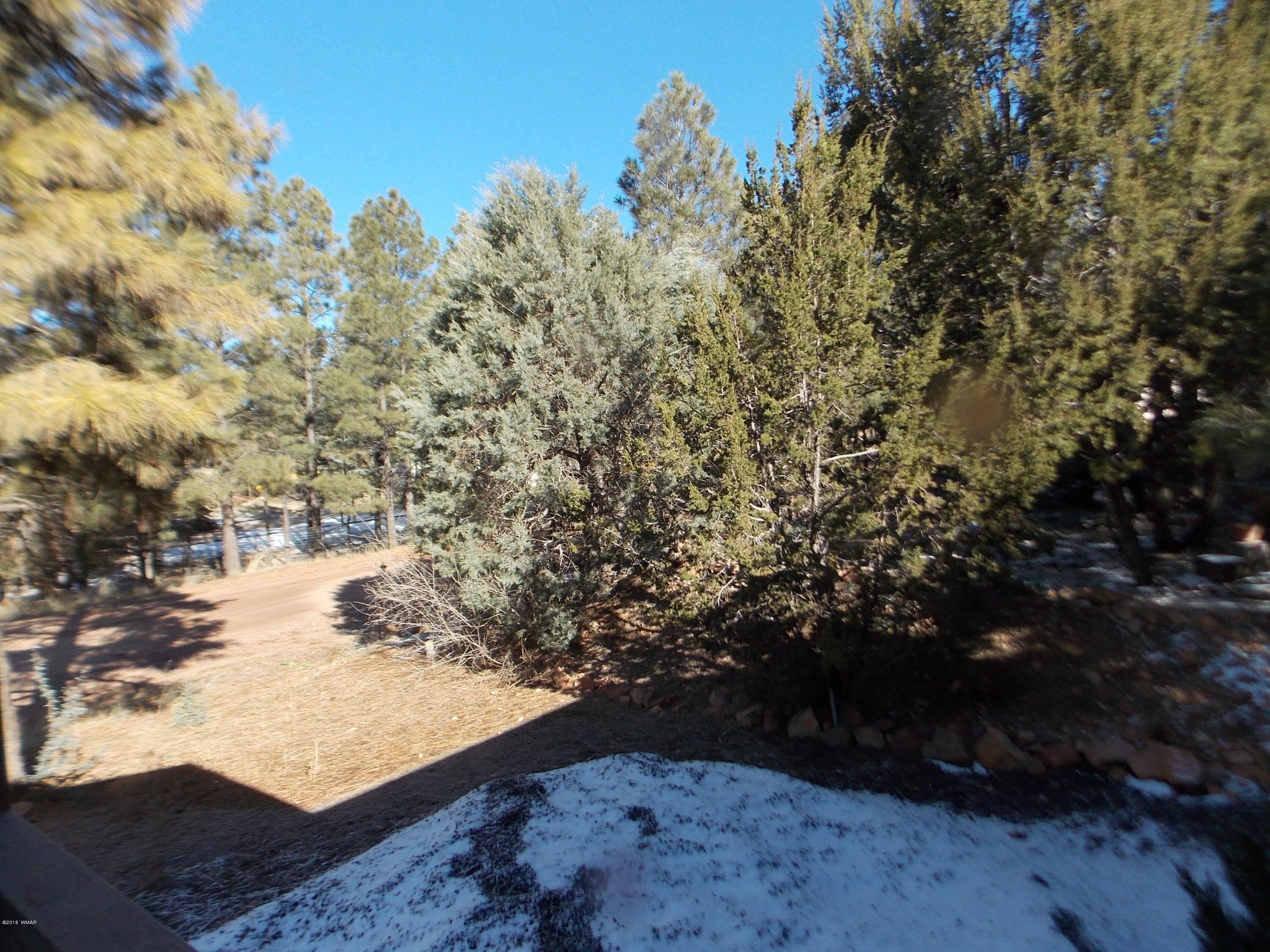 2073 Sagebrush Trail Overgaard, AZ 85933 - Photo 23 of 25