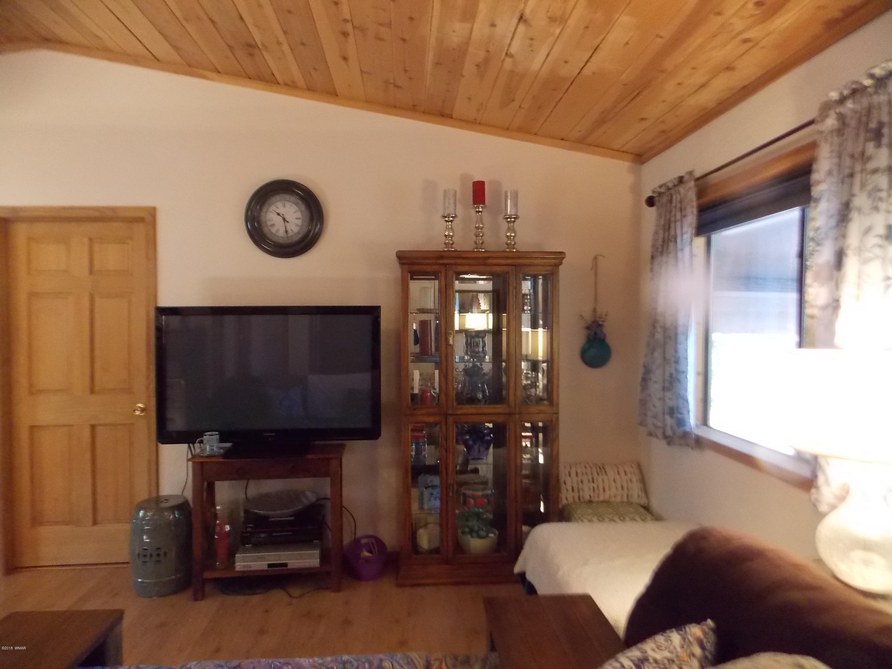 2073 Sagebrush Trail Overgaard, AZ 85933 - Photo 3 of 25