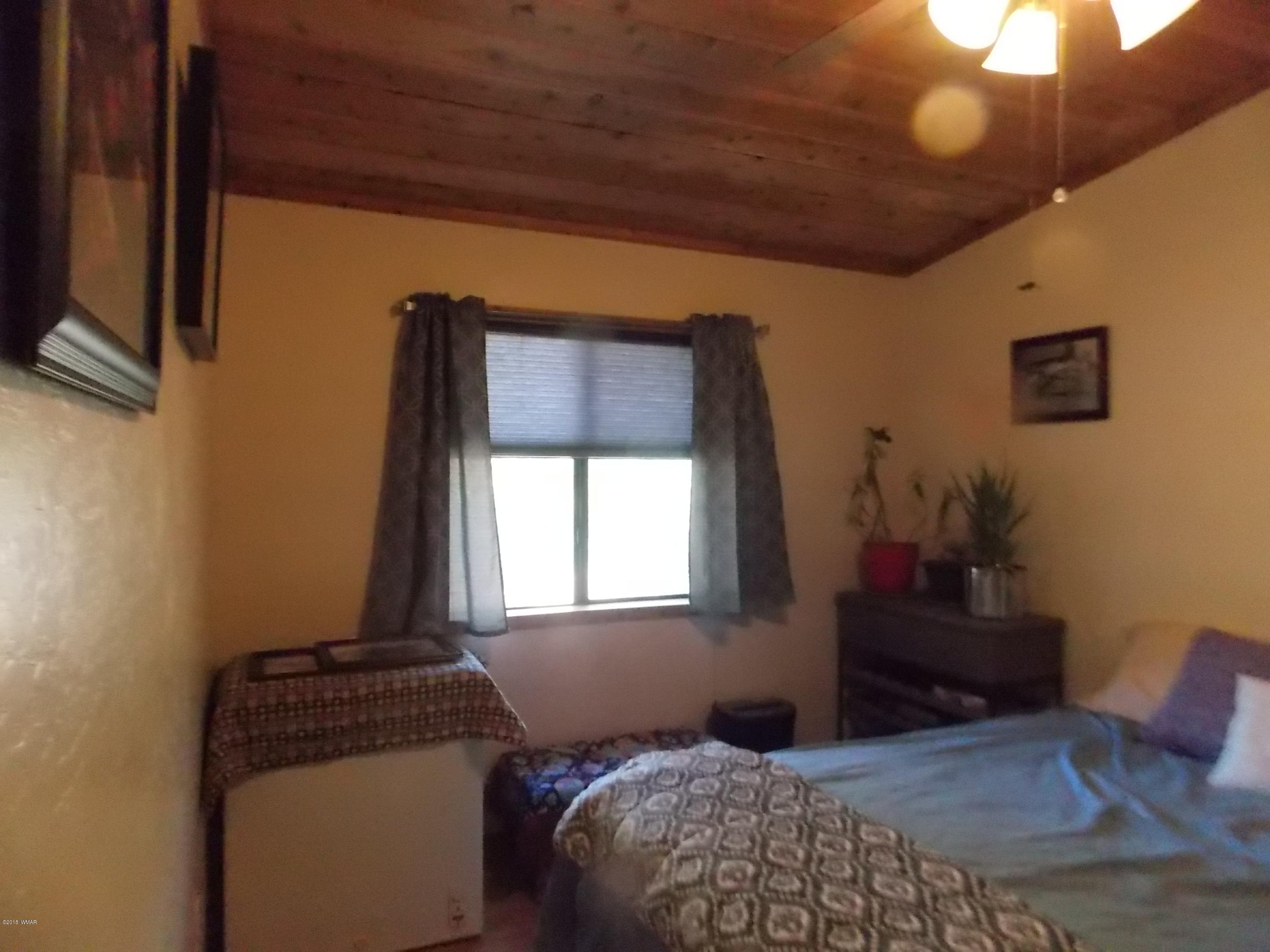 2073 Sagebrush Trail Overgaard, AZ 85933 - Photo 9 of 25