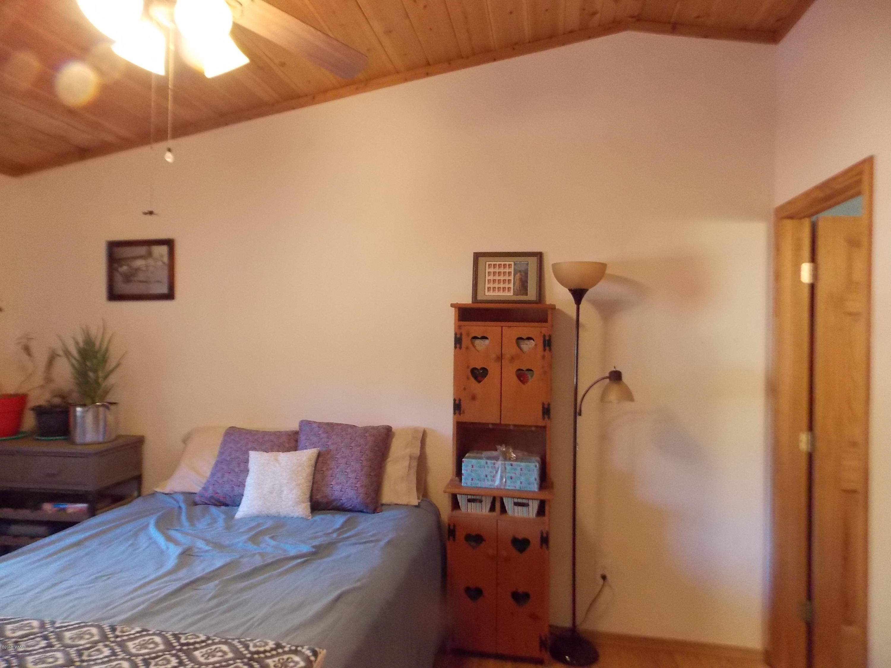 2073 Sagebrush Trail Overgaard, AZ 85933 - Photo 10 of 25