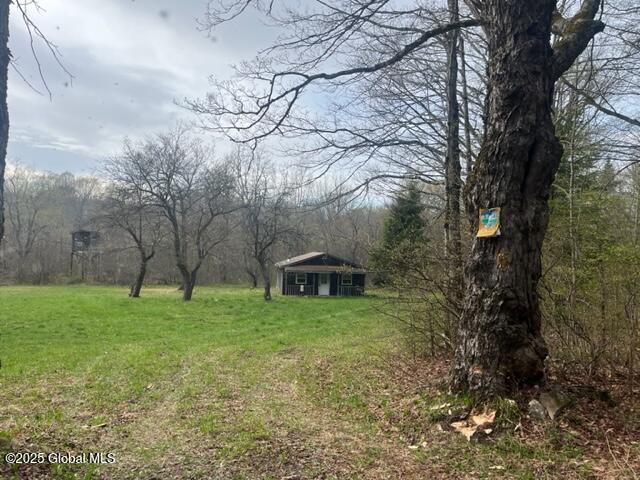 145 Gott Road Summit, NY 12149 - Photo 12 of 12 IMG_6619