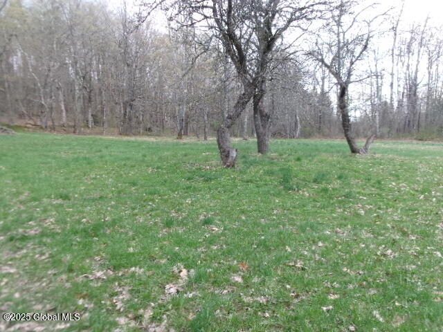 145 Gott Road Summit, NY 12149 - Photo 5 of 12 100_3364