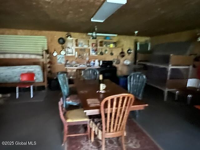 145 Gott Road Summit, NY 12149 - Photo 8 of 12 IMG_6612