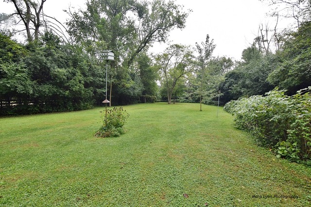 28W111 Garys Mill Road Winfield, IL 60190 - Photo 20 of 23