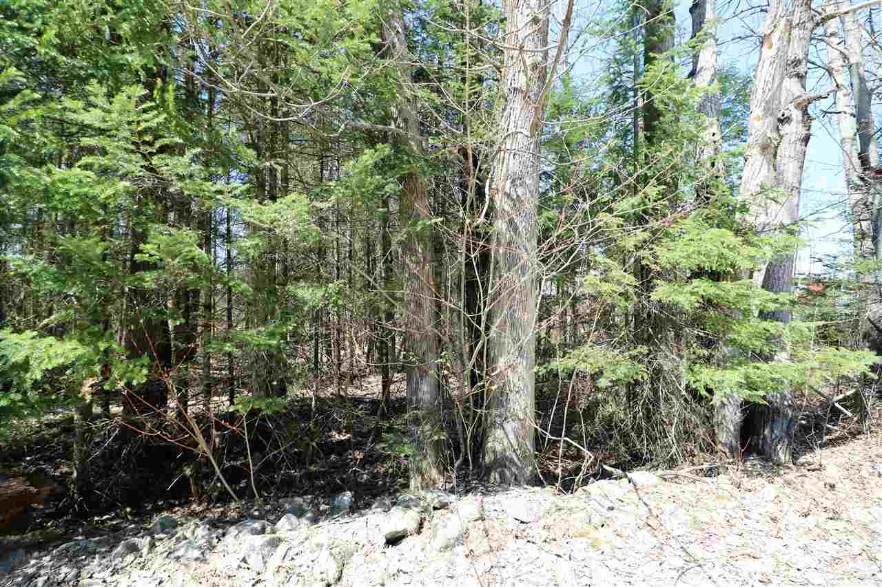 169 Old E Road Whitefield, NH 03598 - Photo 27 of 28 Gallery Image 27