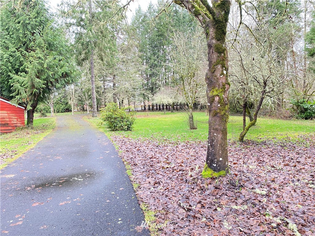 624 Tauscher Road Chehalis, WA 98532 - Photo 19 of 40