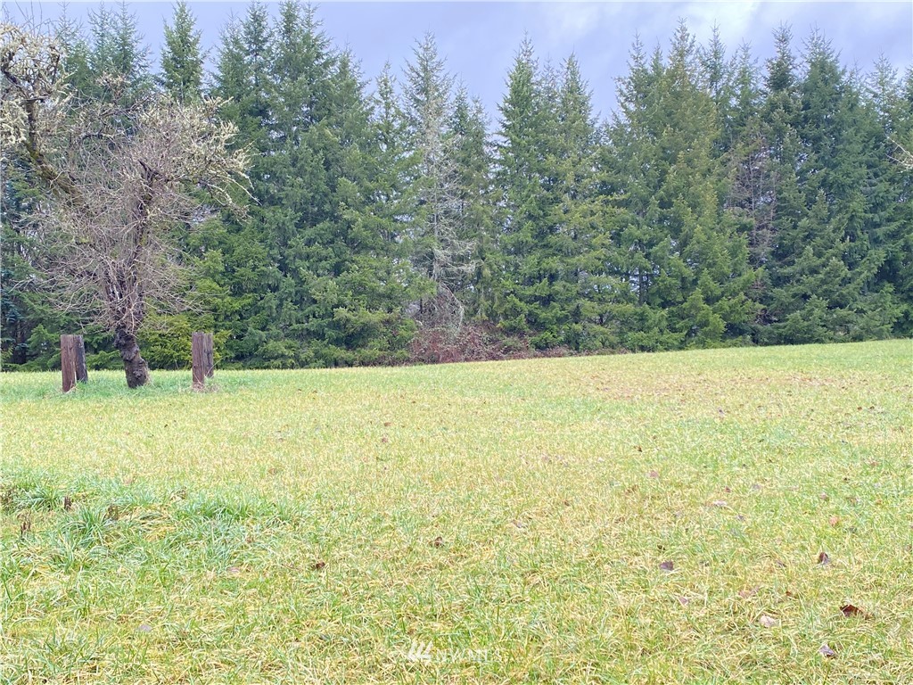 624 Tauscher Road Chehalis, WA 98532 - Photo 34 of 40