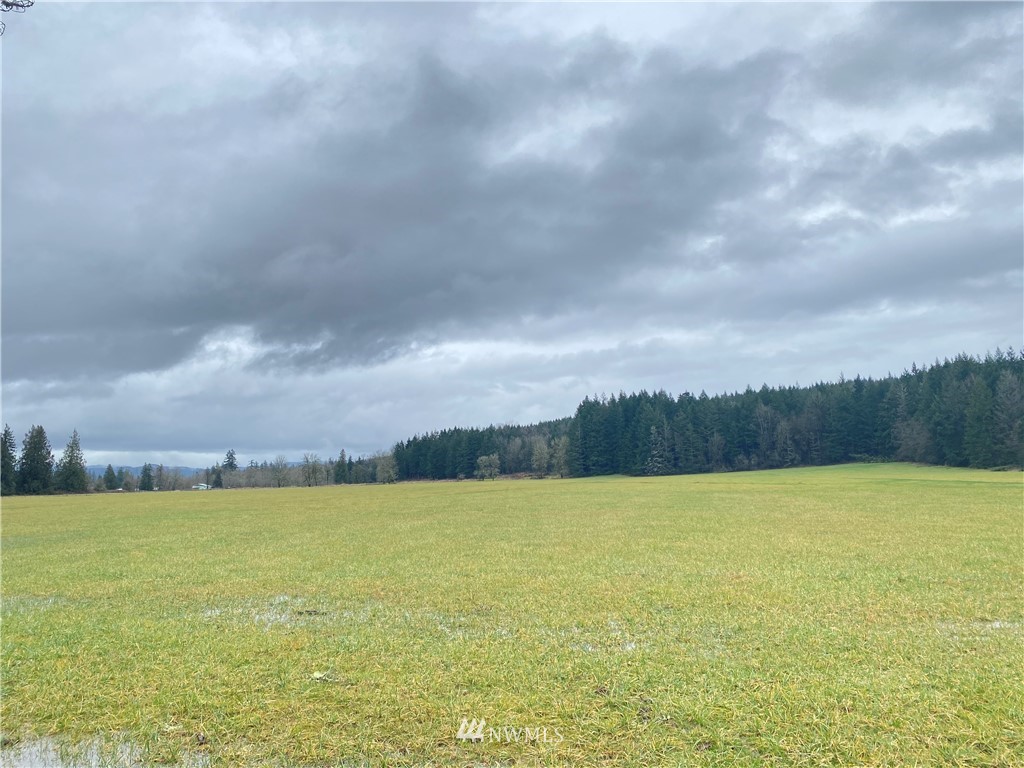 624 Tauscher Road Chehalis, WA 98532 - Photo 38 of 40