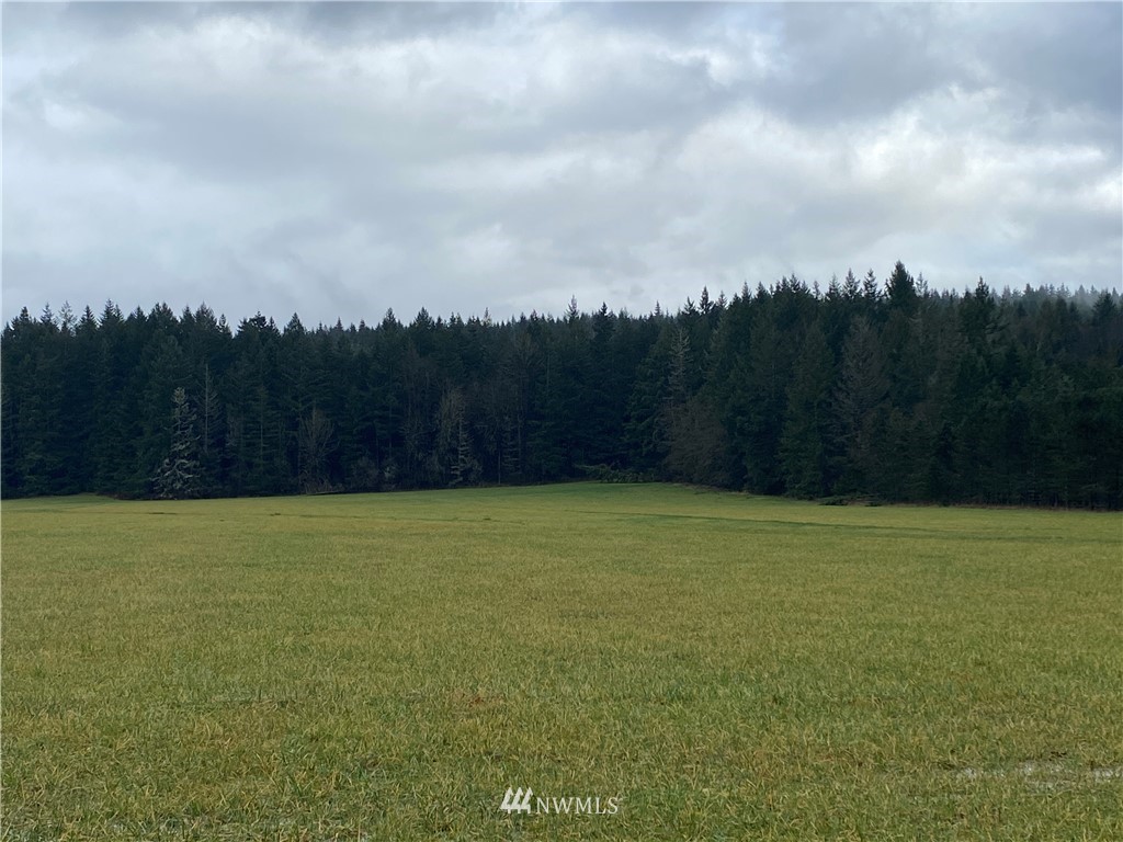 624 Tauscher Road Chehalis, WA 98532 - Photo 40 of 40