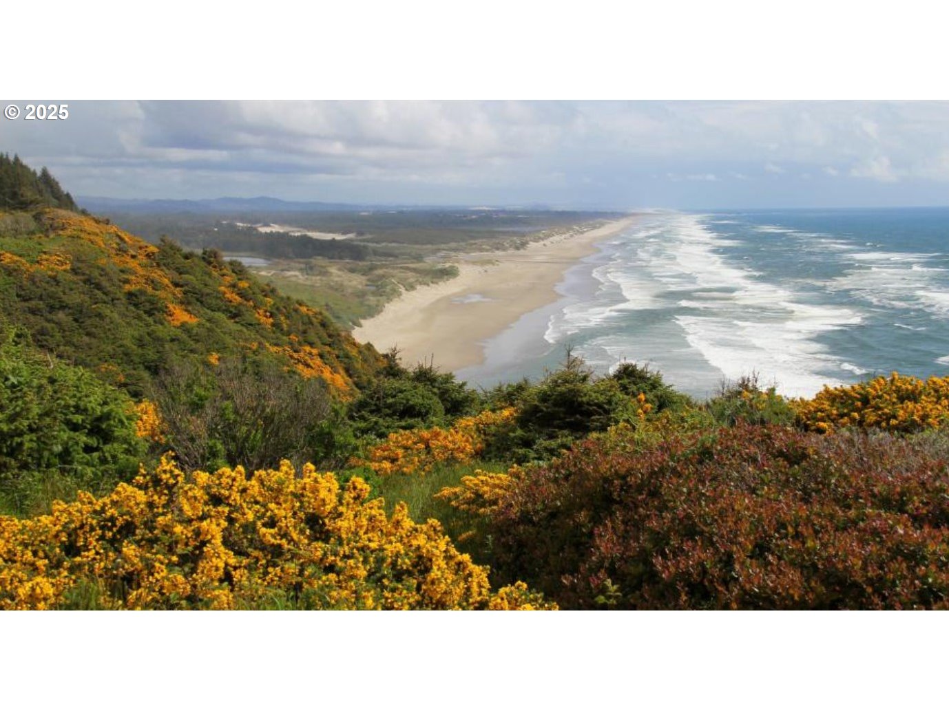 402 Sherwood Loop Florence, OR 97439 - Photo 27 of 33 a black and white photo of a house
