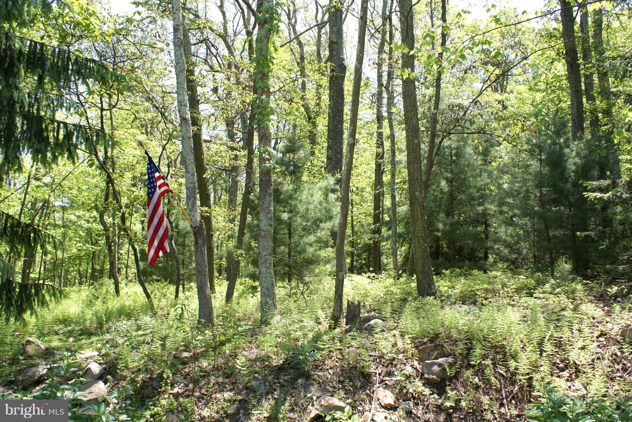 0 Mt Union Road Fayetteville, PA 17222 - Photo 1 of 2 View