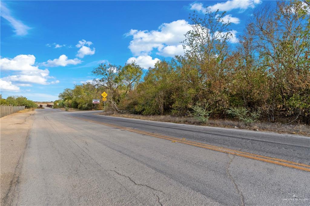 1706 East Ashley Road San Antonio, TX 78214 - Photo 15 of 16 Paved road frontage with double yellow lines, bordered by established trees and natural landscaping
