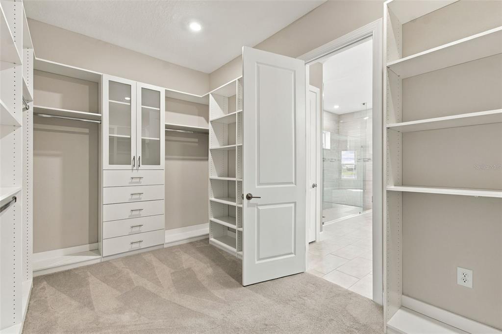 29596 Toricelli Road Wesley Chapel, FL 33543 - Photo 54 of 98 Gallery Image 54