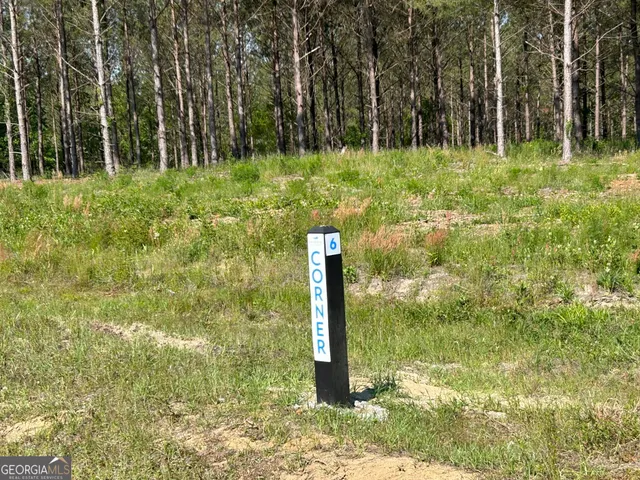 a flower garden in front of a tree