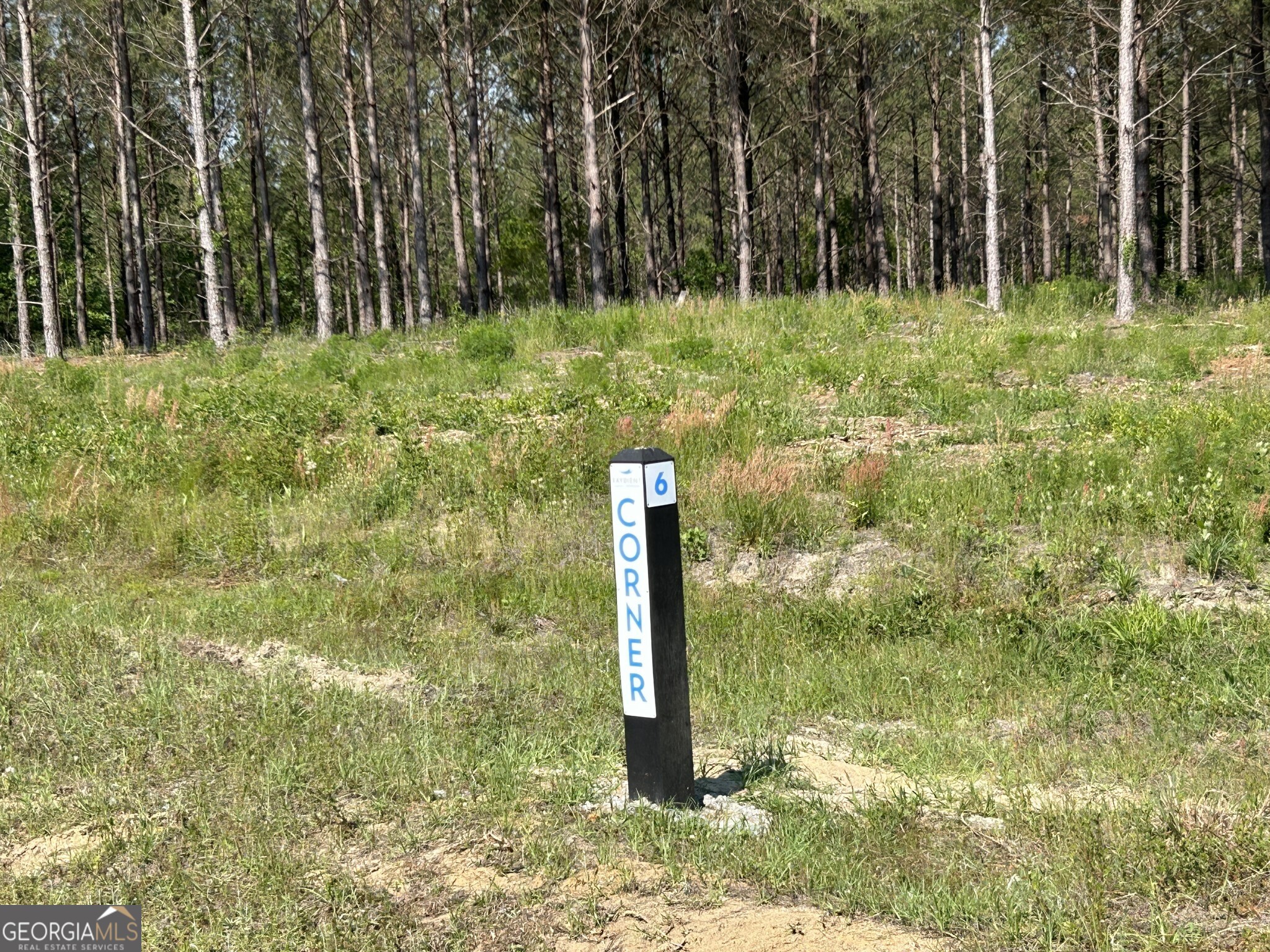 0 Dewey Thomas Road, Unit LOT 6 Dexter, GA 31019 - Photo 9 of 15 a flower garden in front of a tree
