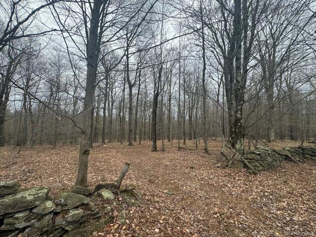 Lot 4 Shaver Hill Road Meridale, NY 13806 - Photo 10 of 45 Gallery Image 10