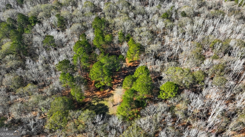 0 Crooked Road, Unit TRACT 1 Millen, GA 30442 - Photo 26 of 33