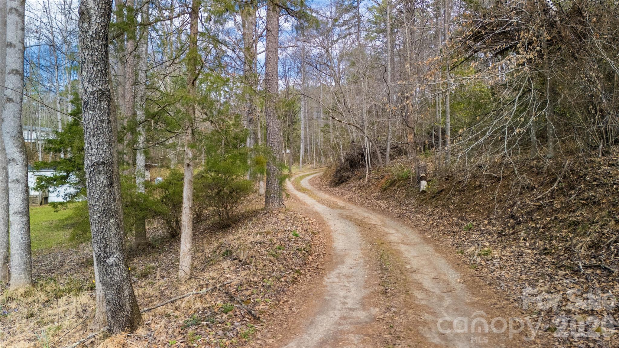 133 Birdie Watson Drive Rutherfordton, NC 28139 - Photo 8 of 9 a view of a forest with trees